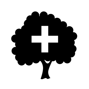 tree health assesssment